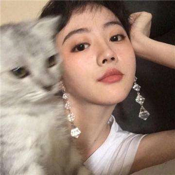 精灵魔塔bt版下载